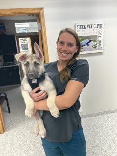 A woman in scrubs holds a German Shepherd puppy inside a veterinary clinic, with a clinic sign visible on the wall behind her.