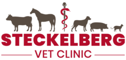 Steckelberg Veterinary Clinic logo